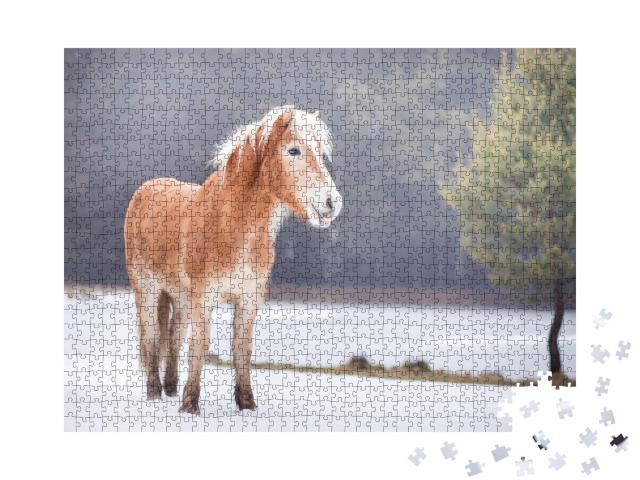 Puzzle 1000 Teile „Junger Haflinger auf einer Winterwiese“