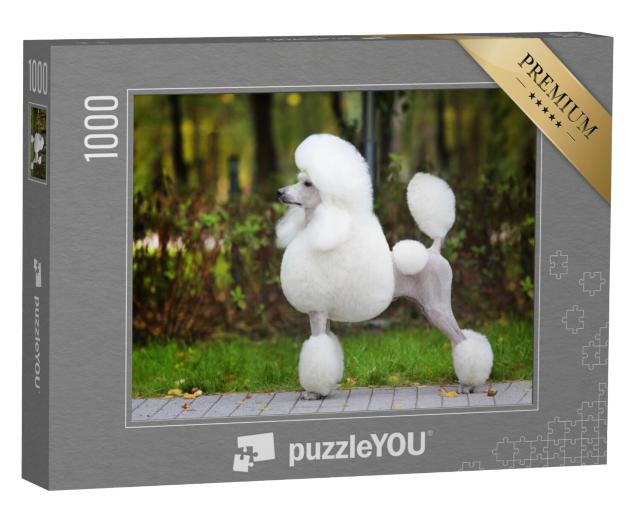 Puzzel 1000 stukjes „Koningspoedel in het park“