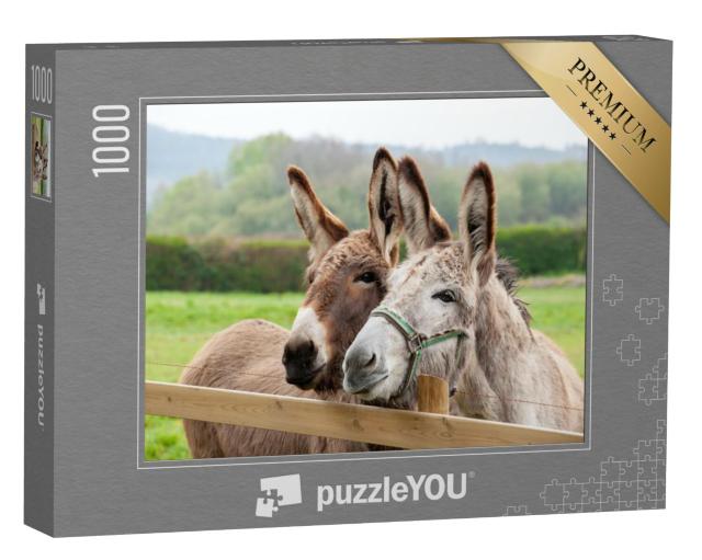 Puzzel 1000 stukjes „Ezelfamilie buiten in de wei“