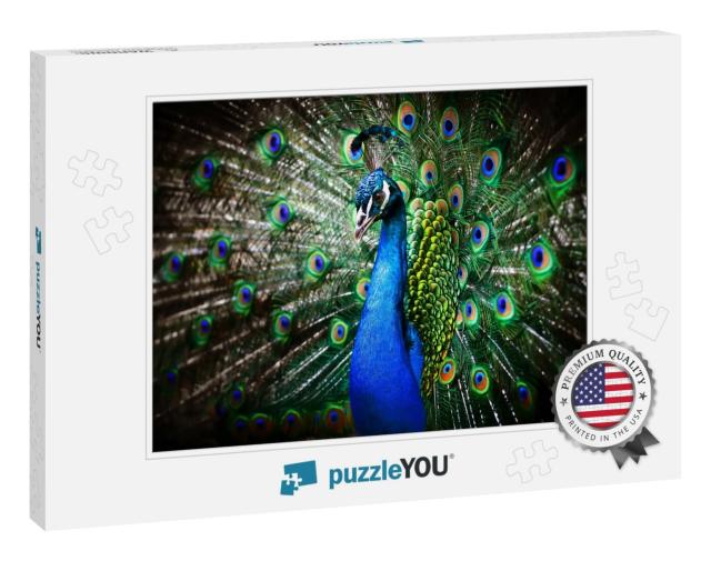 Portrait of Beautiful Peacock with Feathers Out... Jigsaw Puzzle