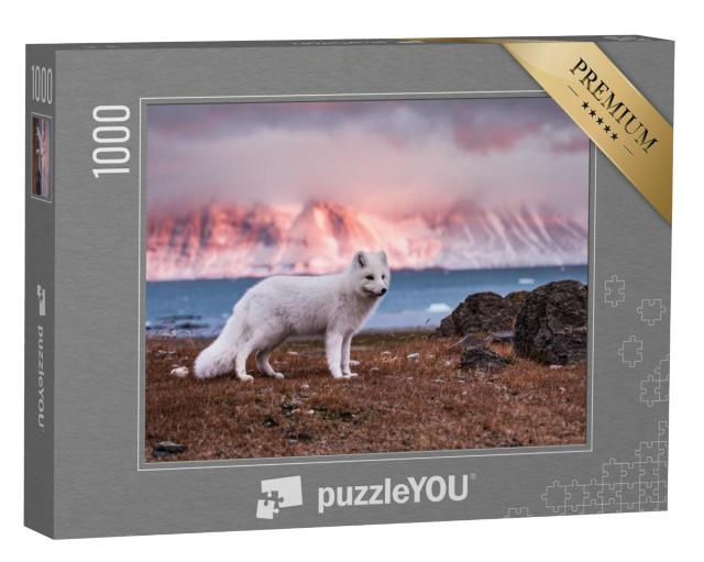 Puzzel 1000 stukjes „Poolvos in de herfstzon“