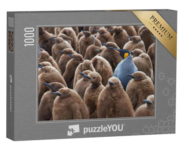 Puzzel 1000 stukjes „Volwassen koningspinguïn in een groep jongen“