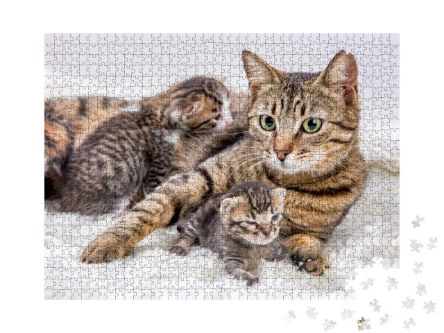 Puzzle 1000 Teile „Katzenmutter und Katzenbaby, Kitten“