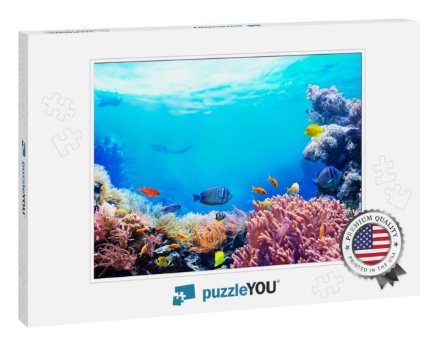 Animals of the Underwater Sea World. Ecosystem. Colorful... Jigsaw Puzzle