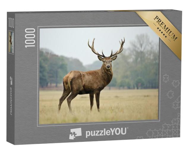 Puzzel 1000 stukjes „Portret van een trots edelhert in het herfstbos“