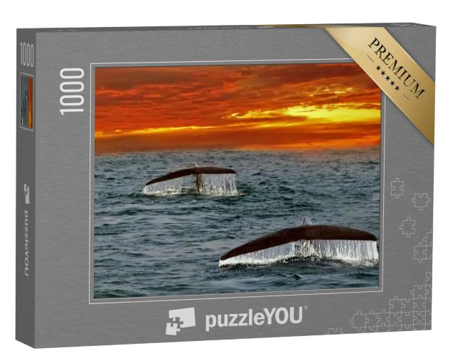 Puzzel 1000 stukjes „Vinnen van blauwe vinvissen in de Indische Oceaan, Sri Lanka“