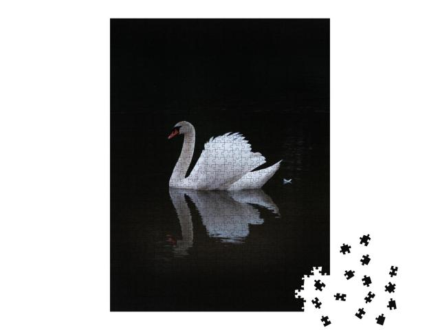 Puzzle 1000 Teile „Weißer eleganter Schwan auf dunklem Hintergrund“