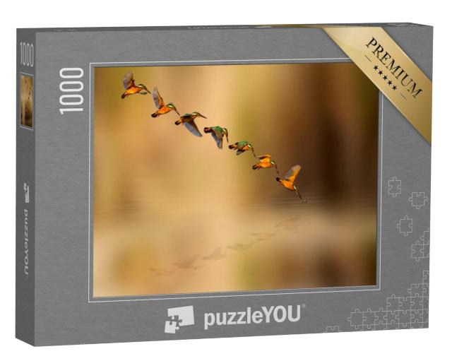 Puzzel 1000 stukjes „Duikende ijsvogel“