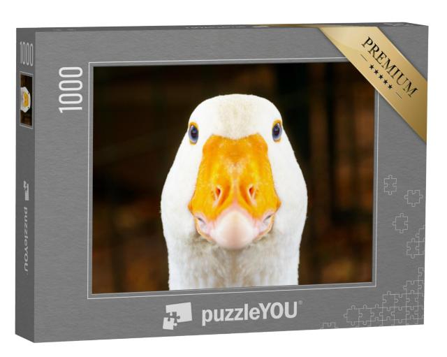 Puzzel 1000 stukjes „Portret van een witte gans“