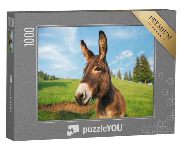 Puzzel 1000 stukjes „Foto van een ezel bij zonsondergang in Transsylvanië“