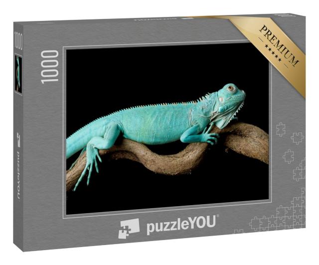 Puzzle 1000 Teile „Blauer Leguan: Nahaufnahme auf Ast, Cyclura Lewisi“
