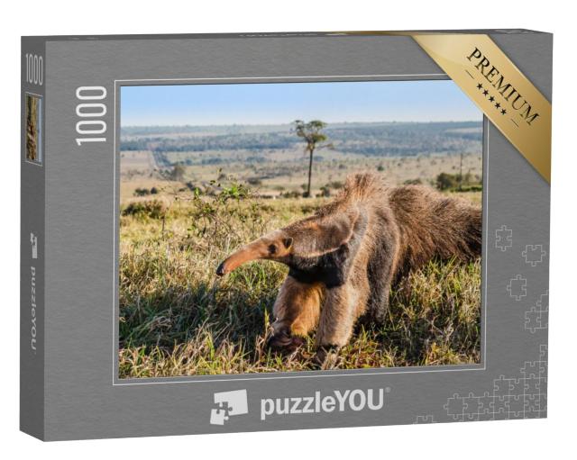 Puzzel 1000 stukjes „Een wilde reuzenmiereneter in de wei“