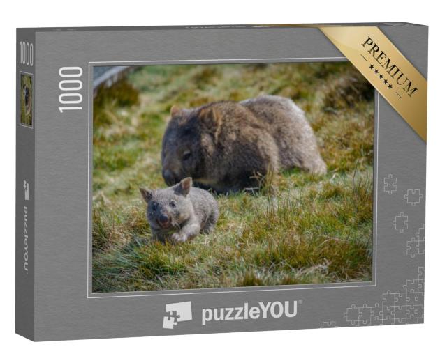 Puzzel 1000 stukjes „Wombat moeder met baby, Tasmanië, Australië“