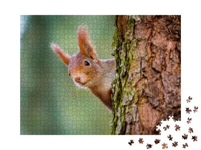 Puzzle 1000 Teile „Neugieriges rotes Eichhörnchen lugt hinter dem Baumstamm hervor“