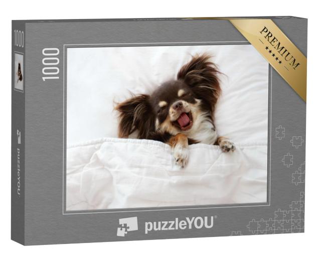 Puzzel 1000 stukjes „Chihuahua hond slaapt op een kussen in bed“