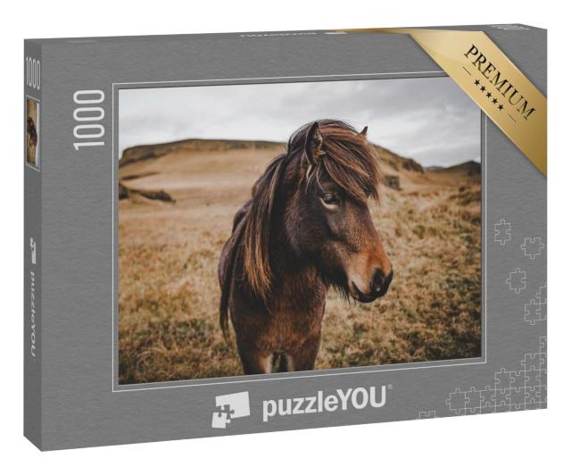 Puzzle 1000 Teile „Wunderschönes Island-Pferd in Nahaufnahme“