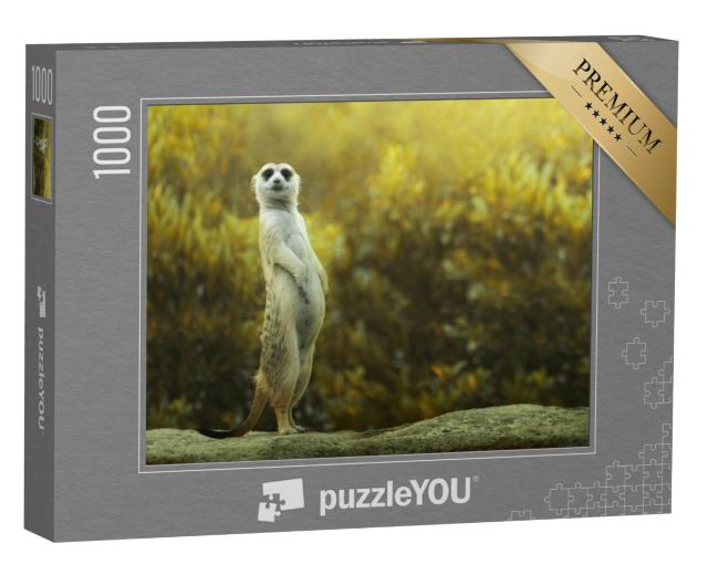 Puzzel 1000 stukjes „Stokstaartje op de steen“