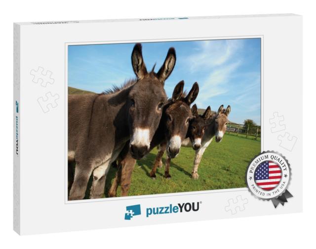 Group of Donkeys in Field Looking to Camera... Jigsaw Puzzle