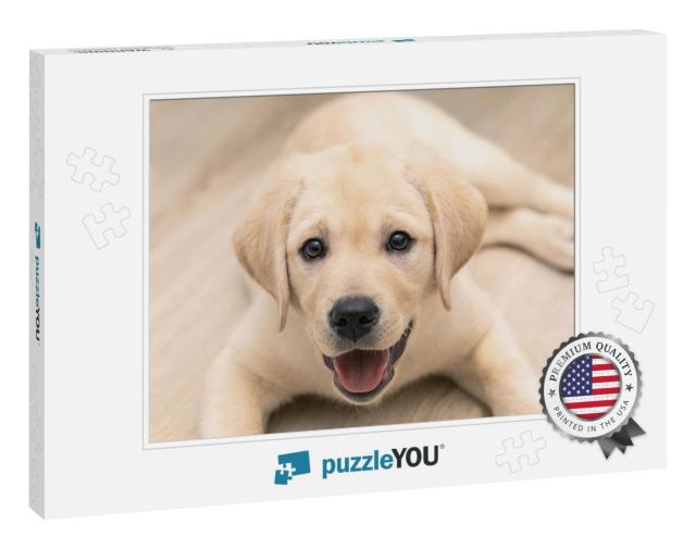 Cute Adorable Little Golden Labrador Puppy is Lying on Fl... Jigsaw Puzzle