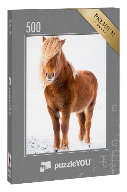 Puzzle 500 Teile „Island-Pferd im Schnee“