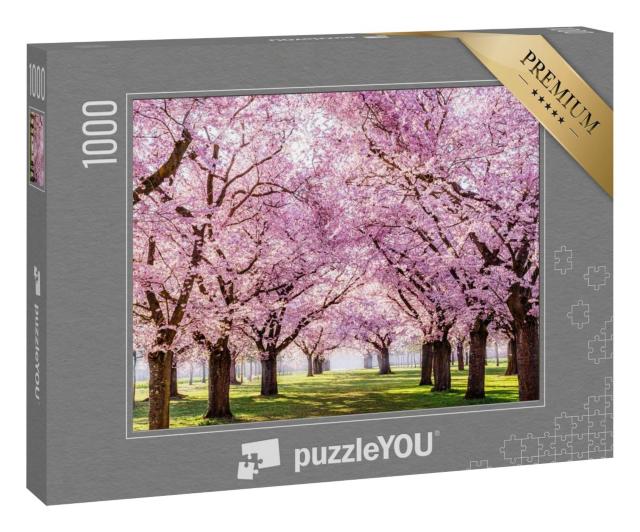 Puzzle 1000 Teile „Sakura-Kirschblüten-Allee, wunderschöner Park“