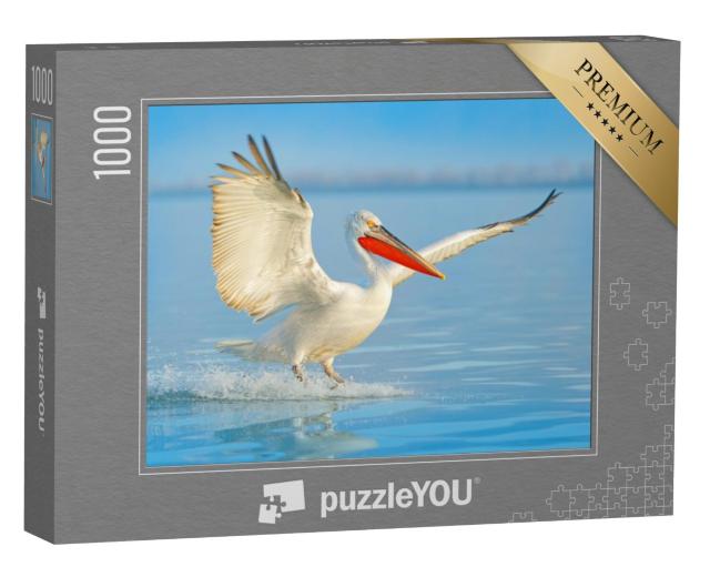 Puzzel 1000 stukjes „Dalmatische pelikaan landt in het meer“