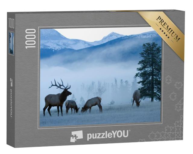 Puzzel 1000 stukjes „Elandstieren en koeien, Rocky Mountains“