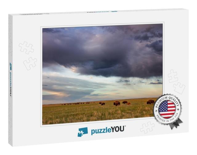Bison Herd with Calves At Sunrise At Fort Niobrara Nation... Jigsaw Puzzle