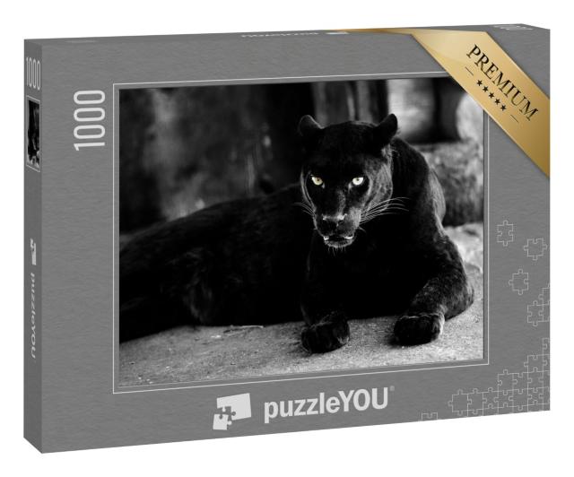 Puzzle „Schöner schwarzer Panther “