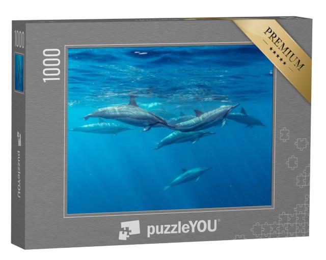 Puzzel 1000 stukjes „Spindolfijnen, Mauritius, Indische Oceaan“