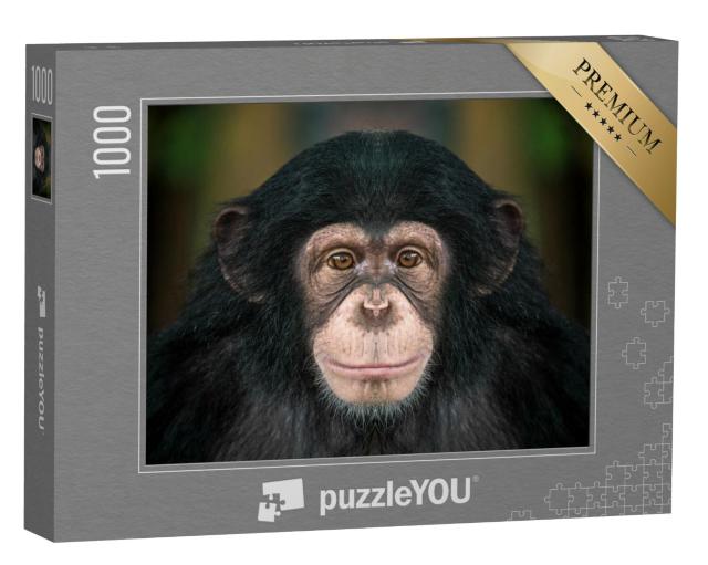 Puzzel 1000 stukjes „Chimpansees“