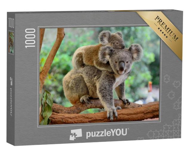 Puzzel 1000 stukjes „Koala moeder met baby op haar rug op een eucalyptusboom“