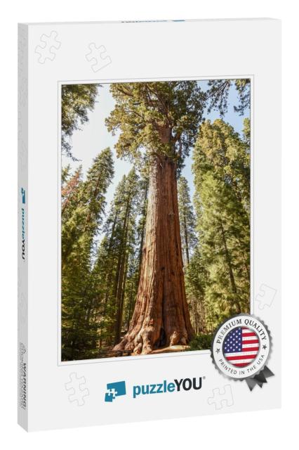 General Sherman Tree in Sequoia National Park, California... Jigsaw Puzzle