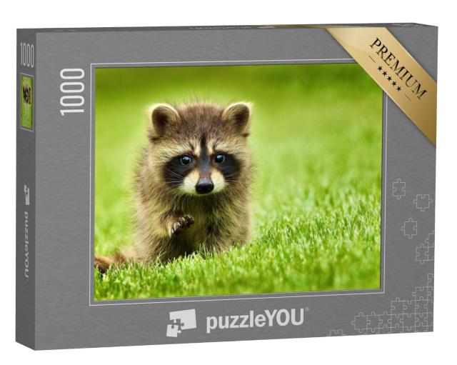 Puzzel 1000 stukjes „Kleine wasbeer in het gras“