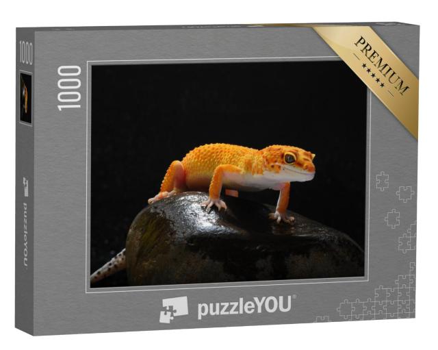 Puzzel 1000 stukjes „Gekko, hagedis, luipaardhagedis gekko“