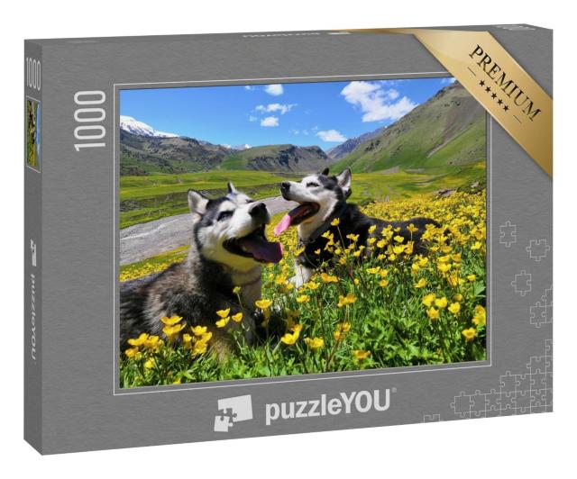 Puzzle 1000 Teile „Zwei sibirische Huskys in den Bergen des Kaukasus“