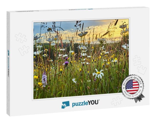 Old Wild Flower Hay Meadow in Summer... Jigsaw Puzzle