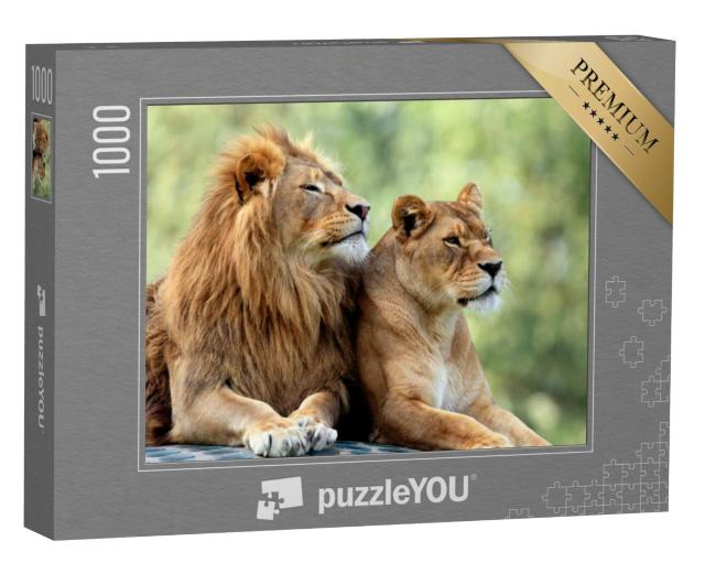 Puzzel 1000 stukjes „Mannelijke en vrouwelijke leeuwen“