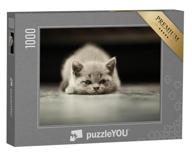 Puzzel 1000 stukjes „Een kleine kat“