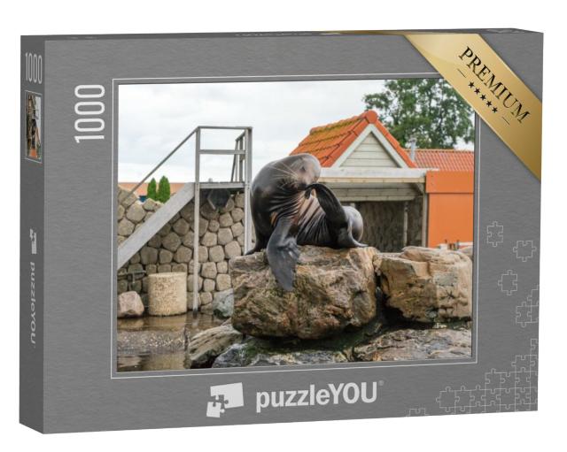 Puzzel 1000 stukjes „Zeehonden op een rots in het Dolfinarium in Harderwijk“