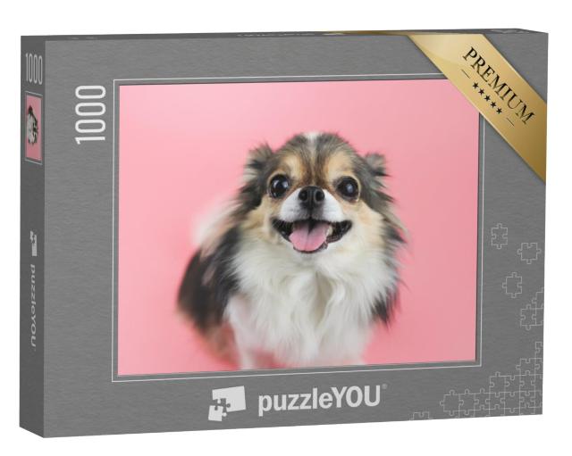 Puzzel 1000 stukjes „Chihuahua met lang haar en roze tong“