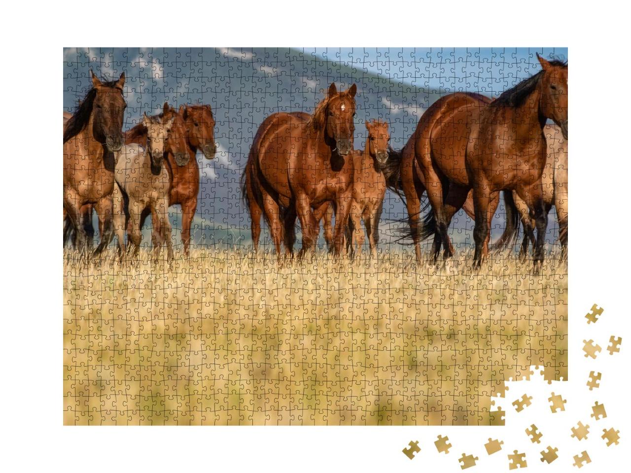 Puzzle 1000 Teile „Quarter Horse-Herde auf einer Grasebene vor den Pryor Mountains, Montana“
