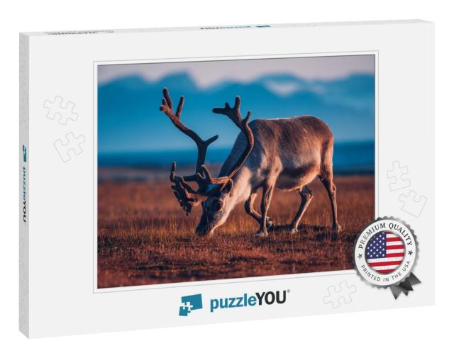 Landscape with Wild Reindeer. Summer Svalbard. with Massi... Jigsaw Puzzle