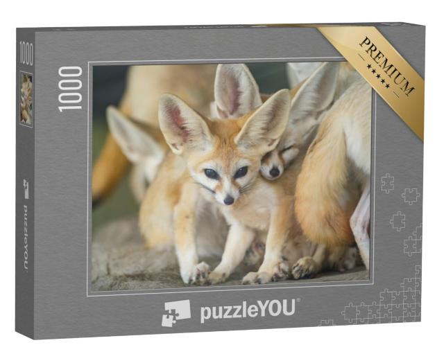 Puzzel 1000 stukjes „Een groep Fennec vossen“