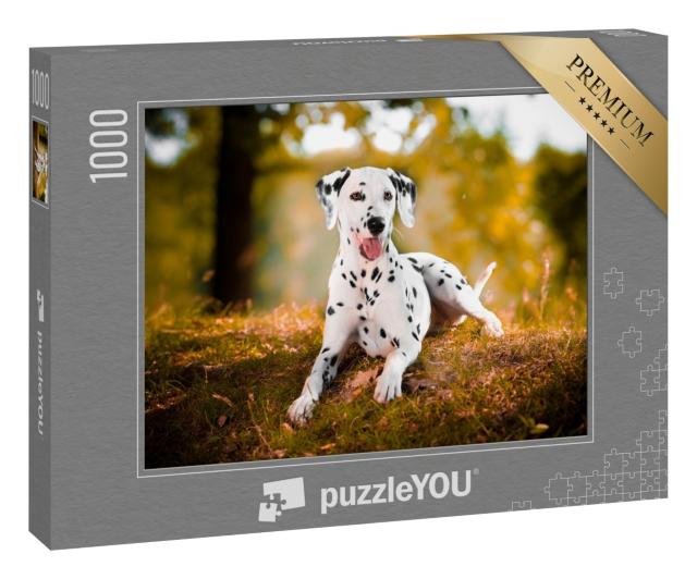 Puzzle 1000 Teile „Dalmatiner im Gras, schwarzer und weißer Hund“