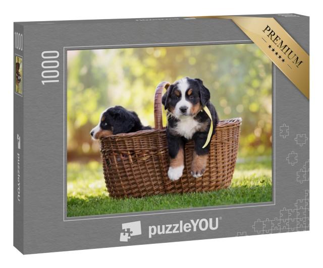 Puzzle 1000 Teile „Berner Sennenhund sitzt in einem Korb im Freien“