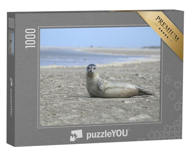 Puzzel 1000 stukjes „Een zeehond op het strand - Europa, Nederland, Schiermonnikoog“