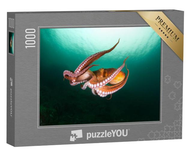 Puzzel 1000 stukjes „Vlucht van octopussen in de diepzee“