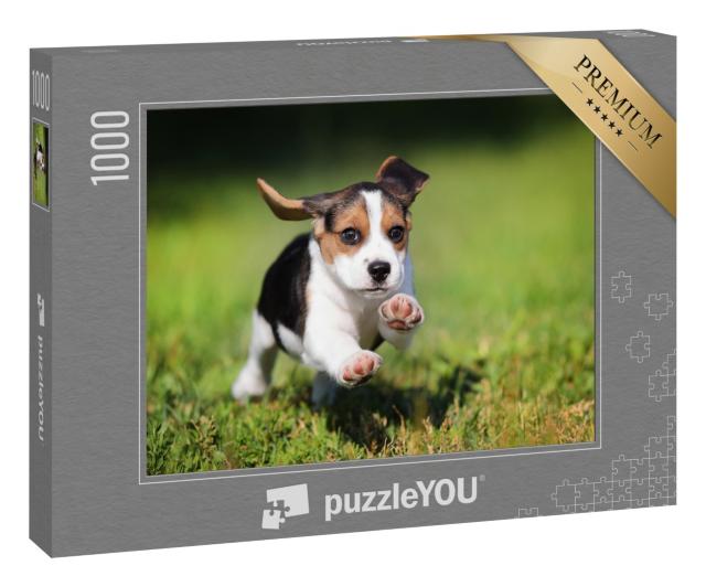 Puzzle 1000 Teile „glücklicher Beagle-Welpe, der im Gras läuft“