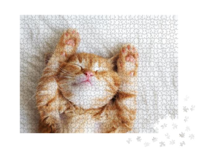 Puzzle 1000 Teile „Kleines rotes Kätzchen beim Schlafen auf einer Felldecke“
